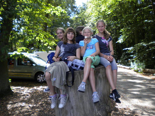 kletterwald