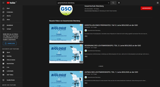 YouTube GSO web