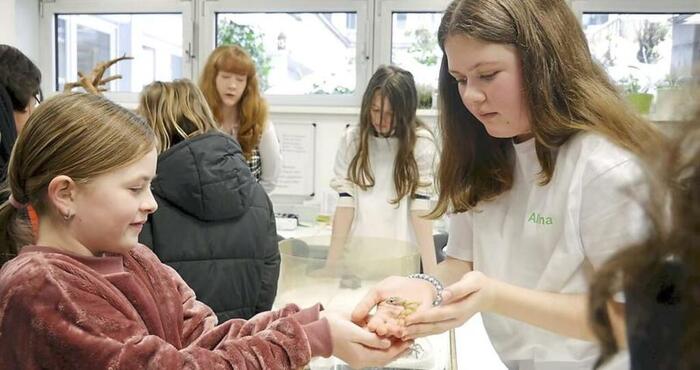 Schülerin übergibt einer anderen jüngeren Schülerin ein Tier, im Hintergrund weitere Schüler in einem hellen Raum