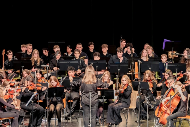 Orchester von oben betrachtet - zahlreiche Musiker mit Streichinstrumenten, alle schwarz gekleidet