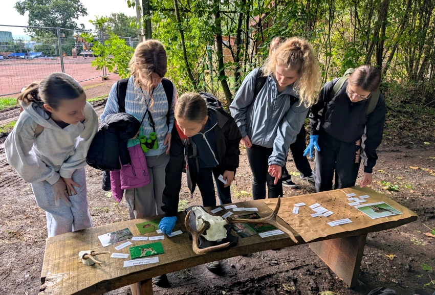 waldjugendspiele