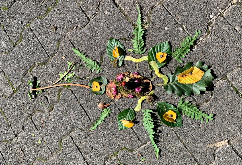 waldjugendspiele