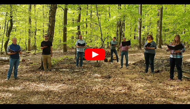 Chor im Wald